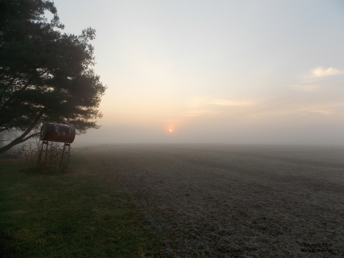 Sunrise Fog 11-11-15 Ccr